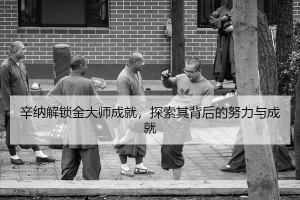 辛纳解锁金大师成就，探索其背后的努力与成就