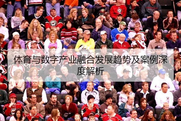 体育与数字产业融合发展趋势及案例深度解析